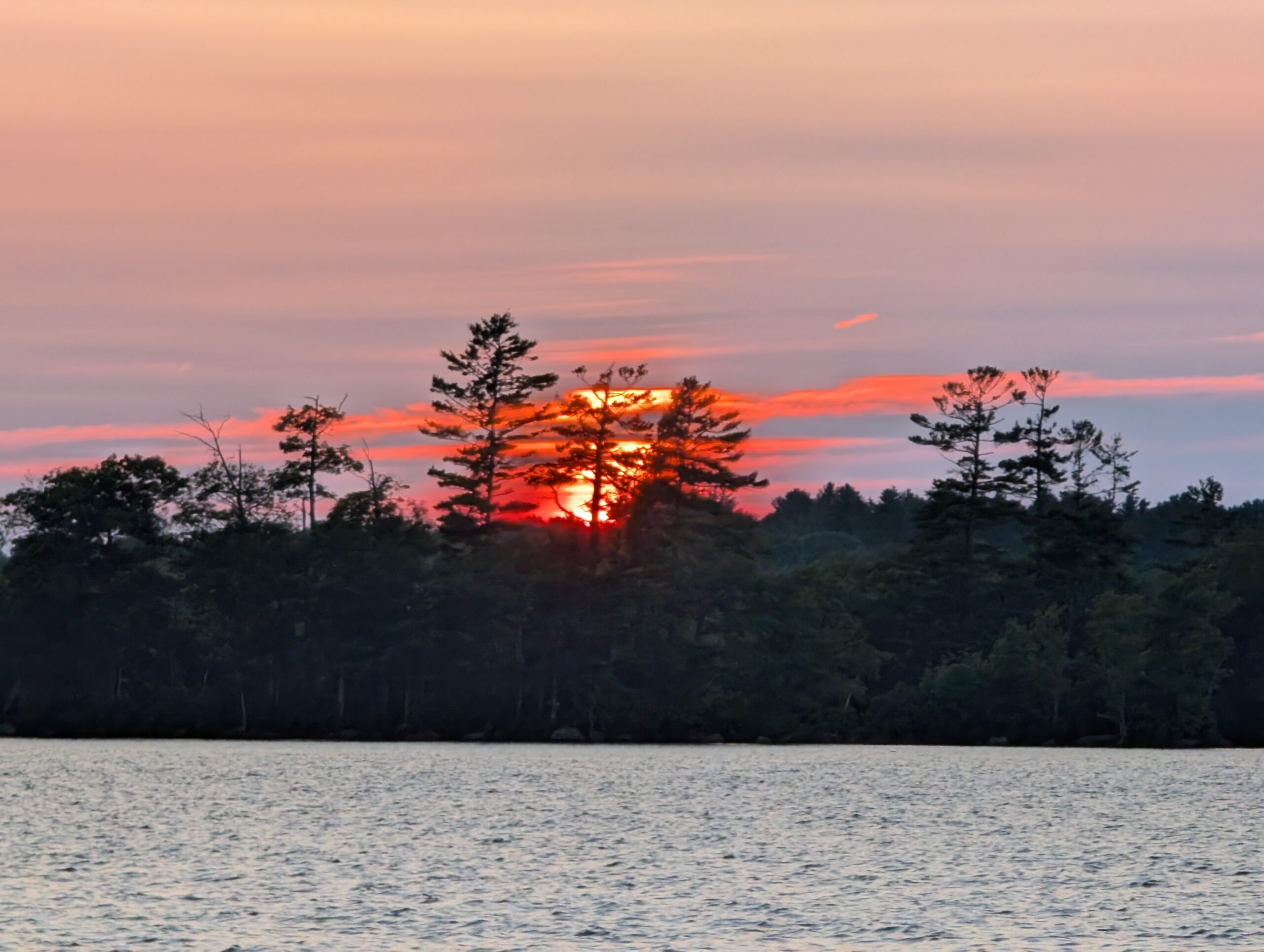 PXL_20240721_000251253